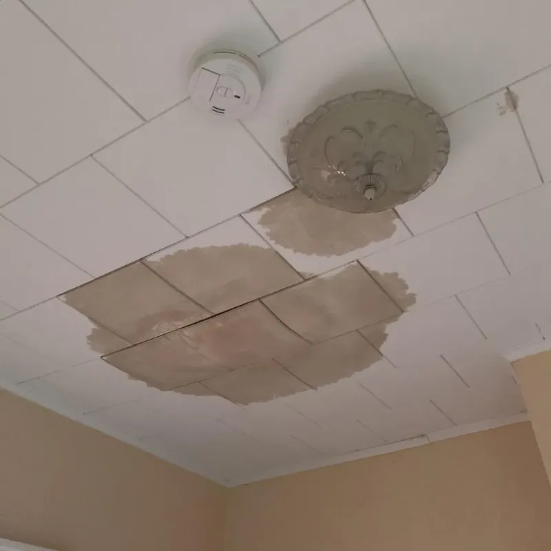 Ceiling Water Damage Repair in Morganton, NC