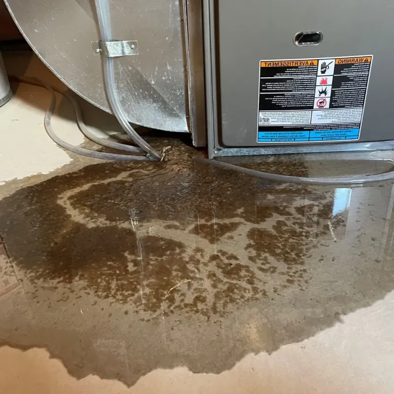 Pipe Burst and Leak Restoration in Morganton, NC